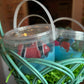 Fish bait Bath Bomb